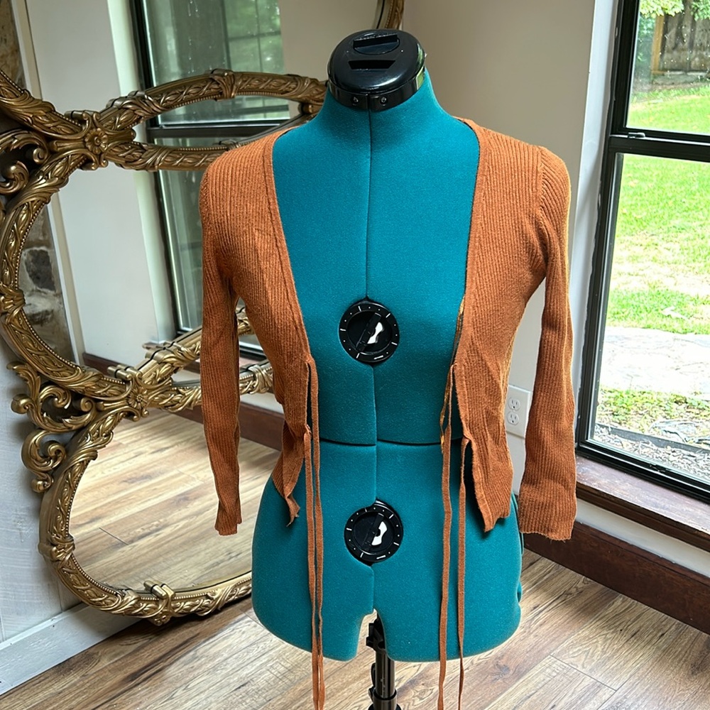 Burnt orange cropped sweater